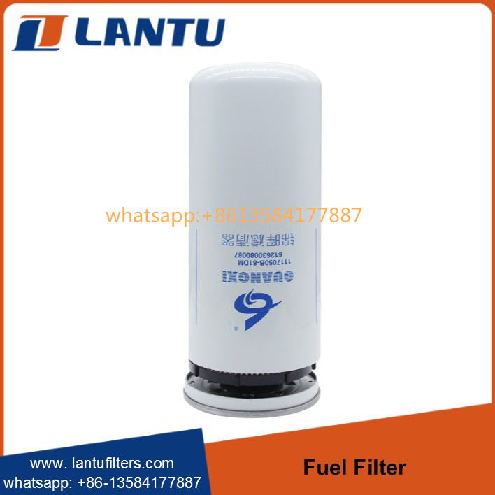 Lantu Fuel filter 612630080087 R010018 FF5740 1000422382 117050A81DM for WEI-CHAI WP10 engine